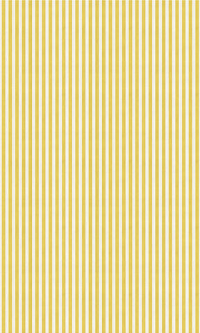 Candy Striped Gold Photo Backdrop