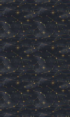 Constellations Photo Backdrop
