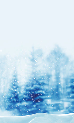 Blue Christmas Photo Background