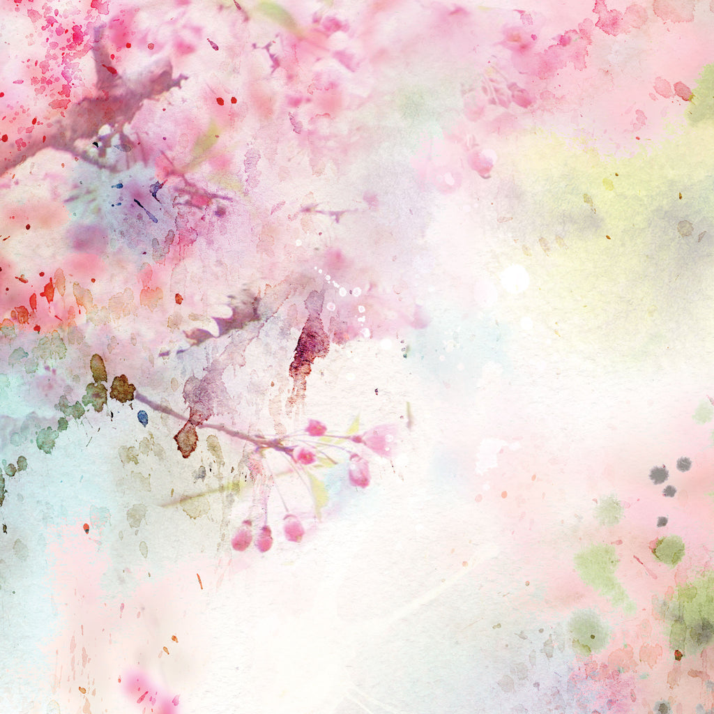 Cherry Blossom Photo Background 