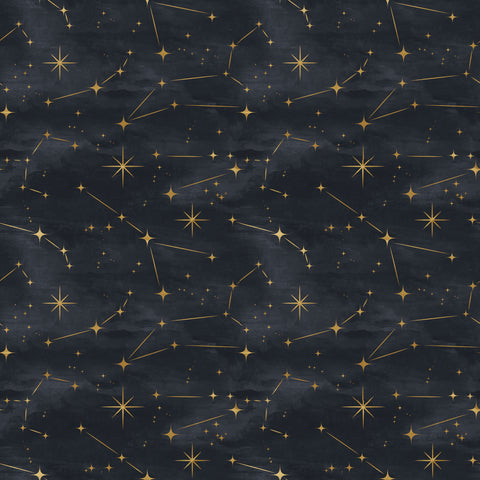 Constellations Photo Backdrop
