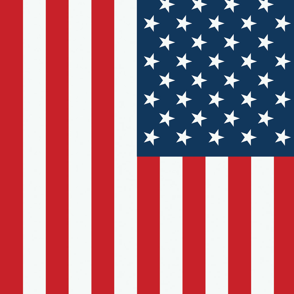 American Flag Photo Backdrop