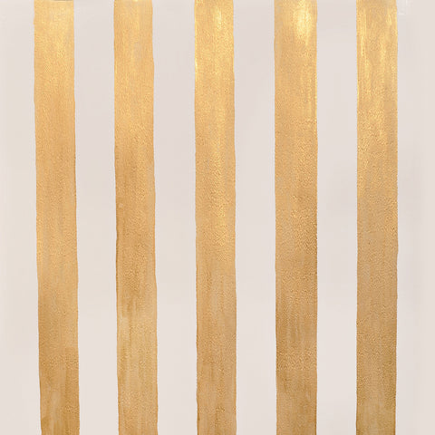 Hand Painted Gold Stripe Photo Backdrop
