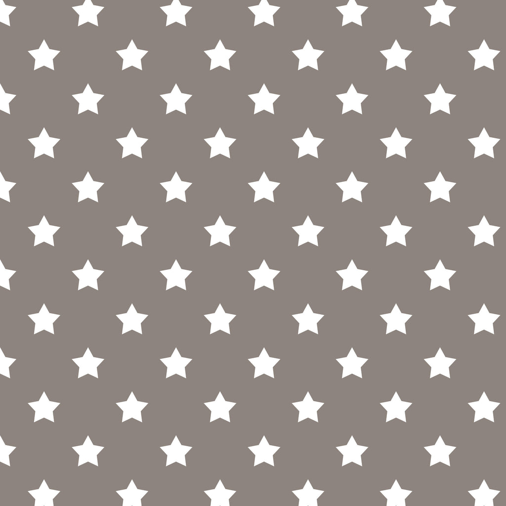 White Stars on Grey Photo Background