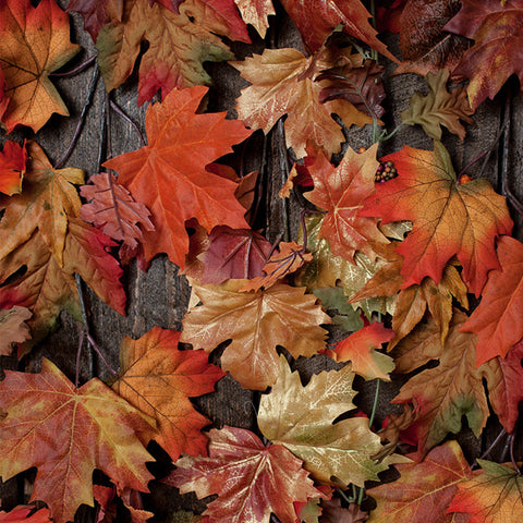 Fall Leaves Photo Background
