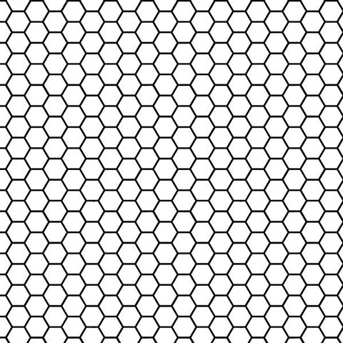 Honeycomb Black and White Photo Backdrop